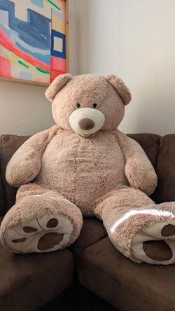 Huge teddy bear - practically new