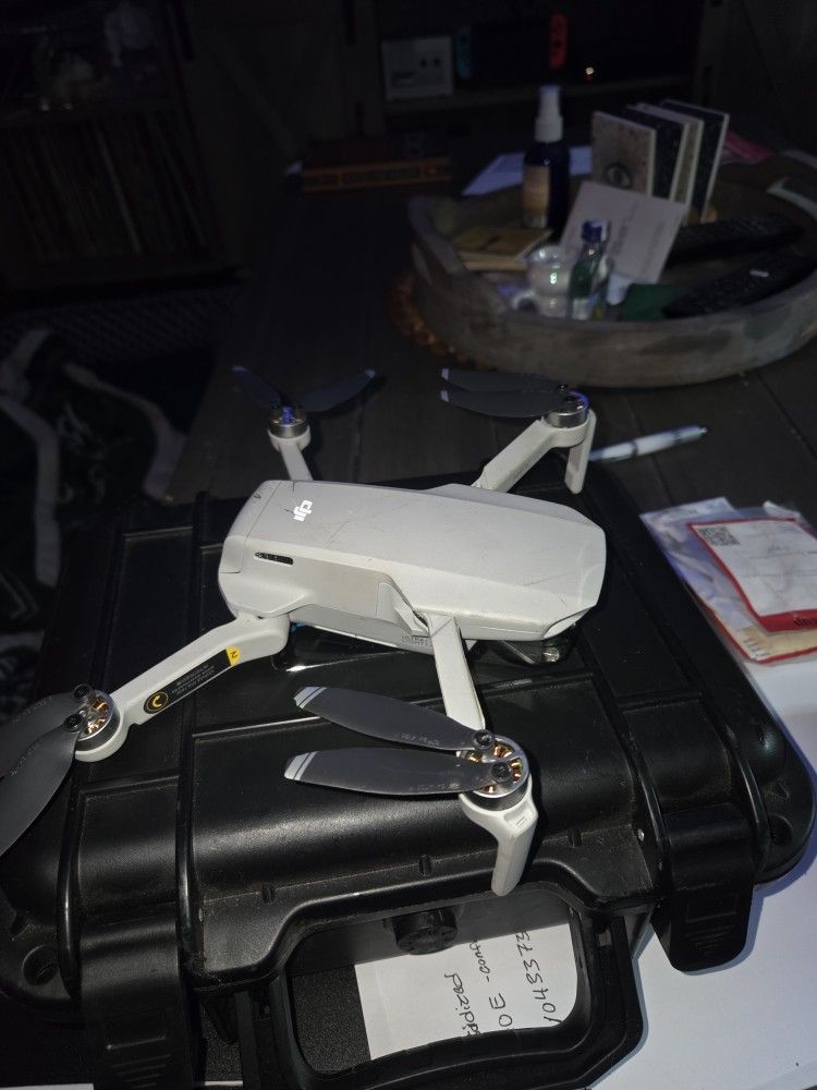 DJI Mavic Mini