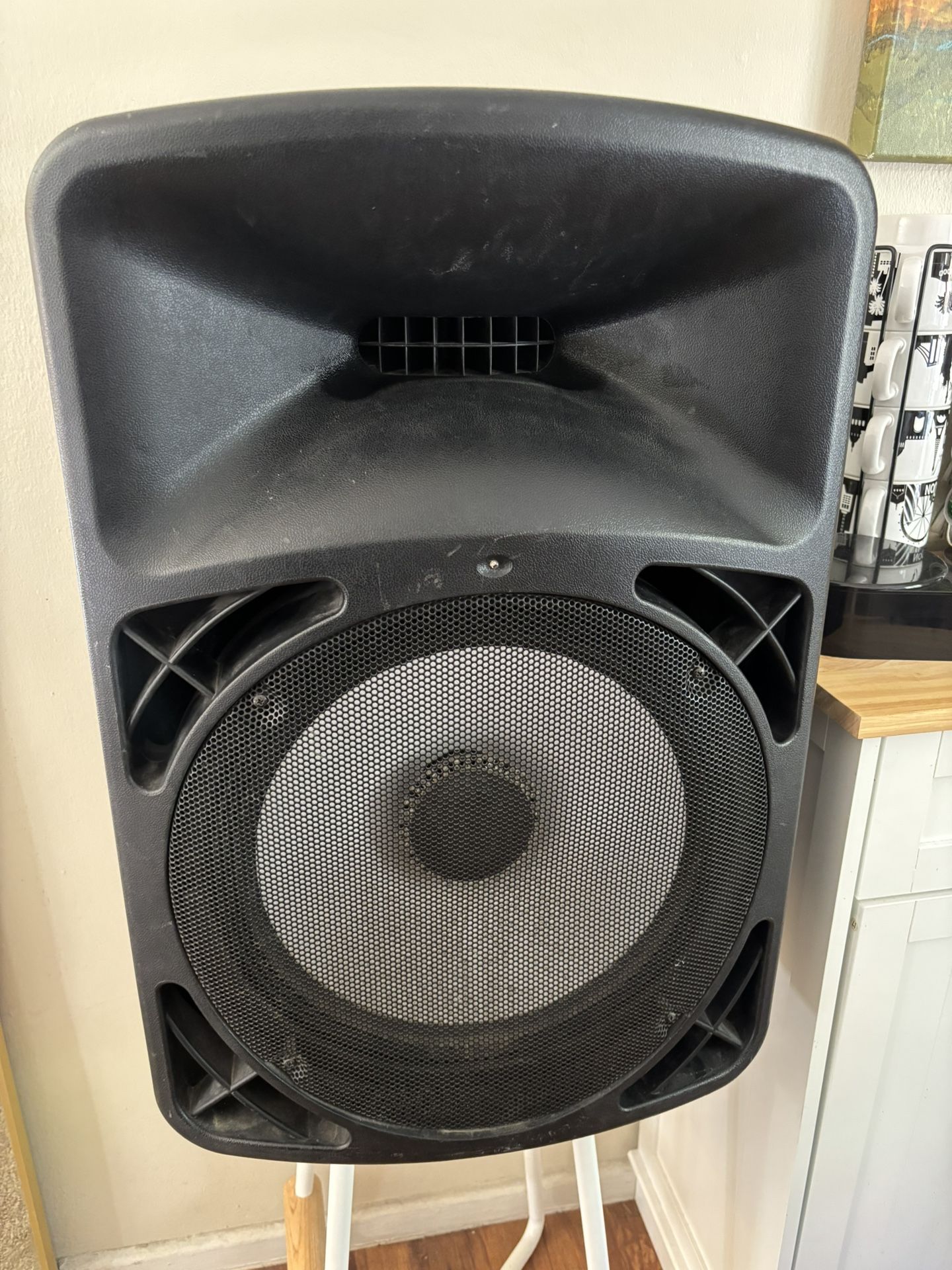 PA speaker
