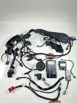 2018 Harley Sportster XL1200NS Main Wiring Harness ECM BCM Speedometer Key OEM 12.663miles.OBO. SM9KNT0544