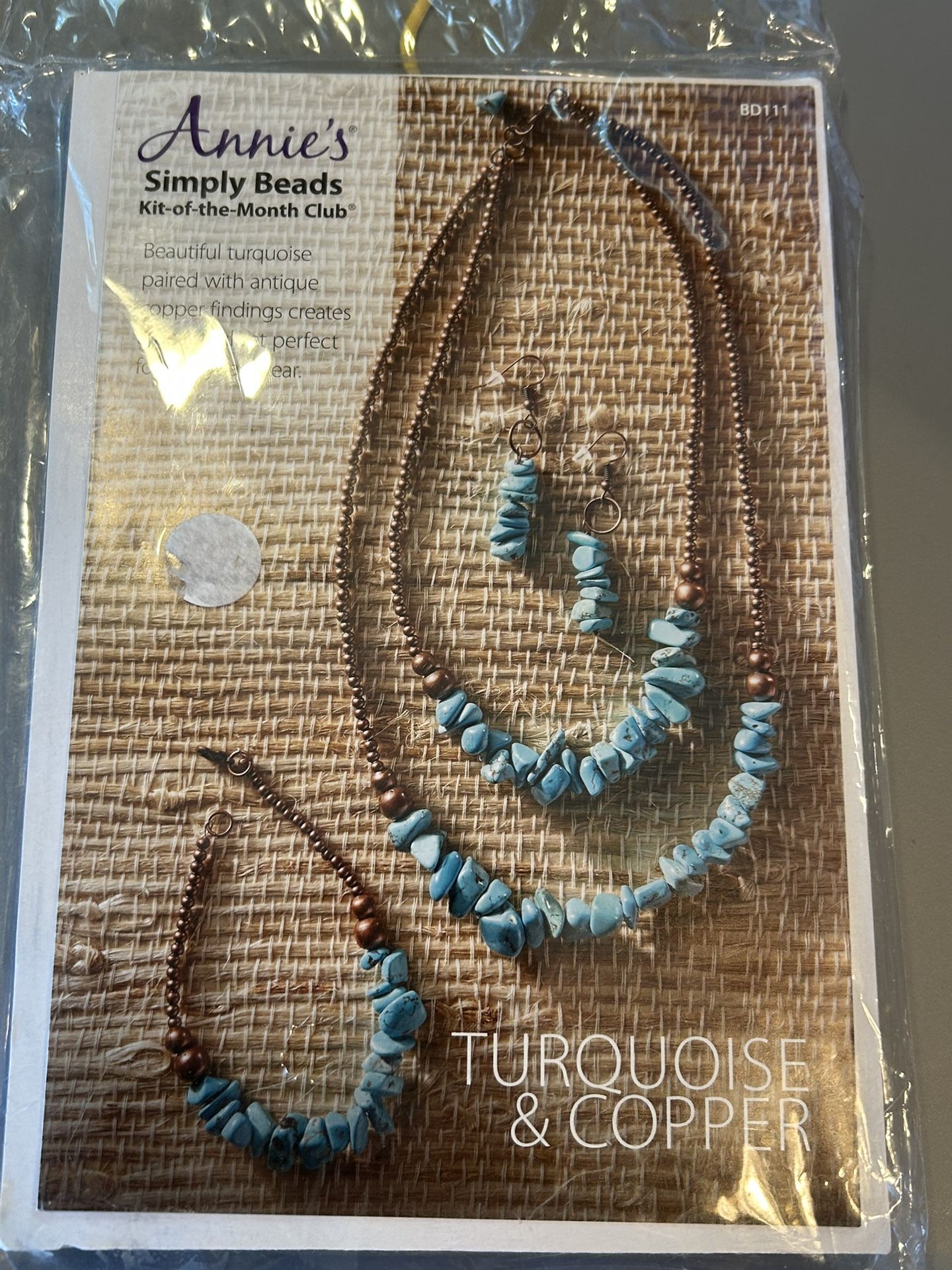 Annie’s Simply Beads Kit Of The Month Turquoise And Copper BD111 New $9