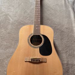 6 String Guitar with Guitar Picks