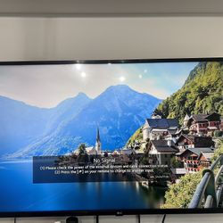 44” LG TV With Wall Rack 