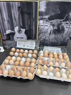 Organic Fresh Eggs