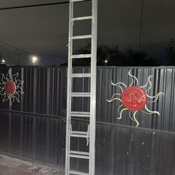 20ft. Extension Aluminum Ladder (Read below)