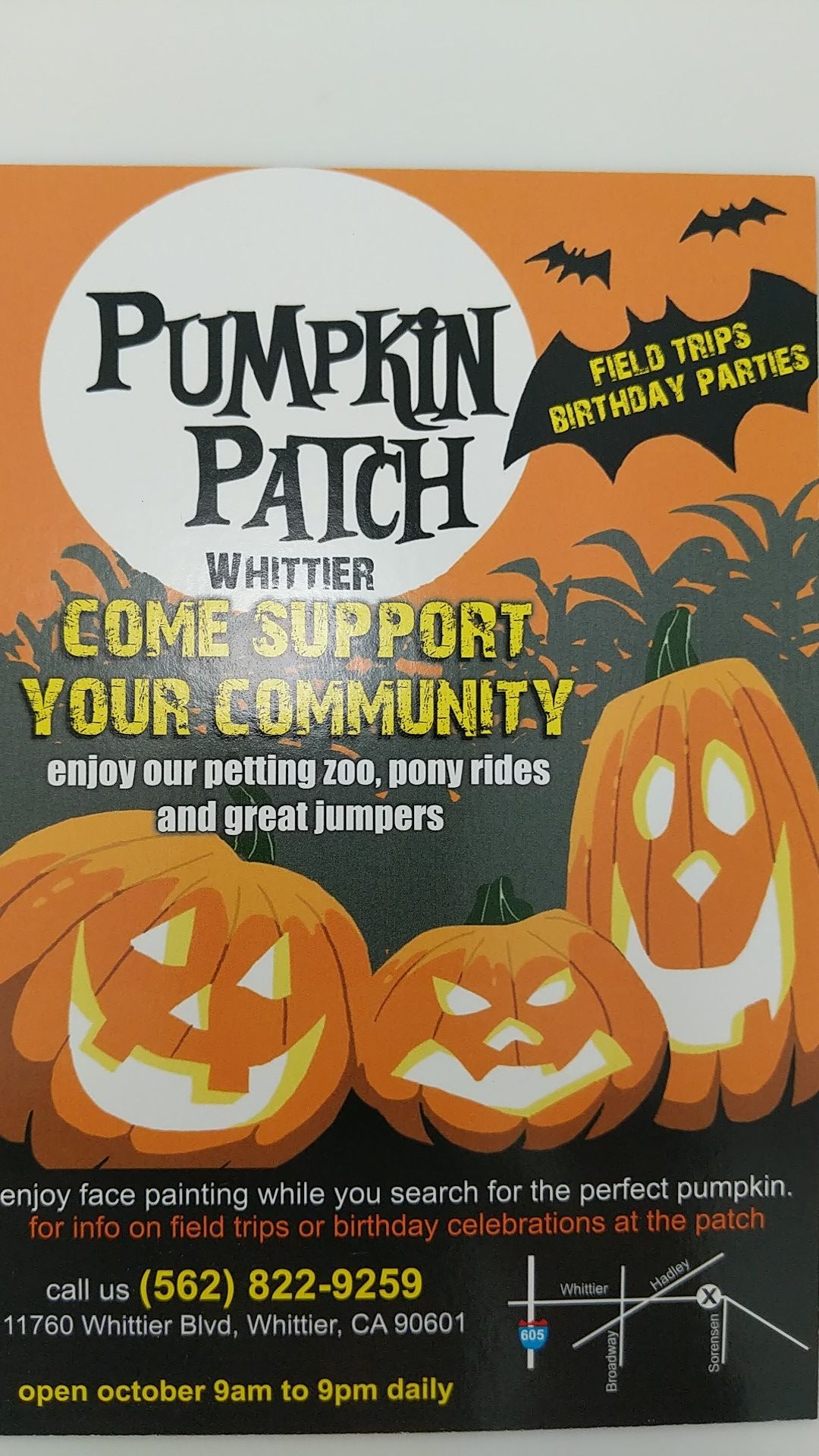 Pumpkin Patch 🎃