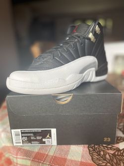 Air Jordan 12