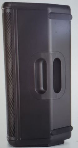 Professional Speaker