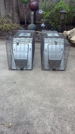 Humane Animal Trap
