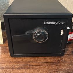 Sentry Safebox