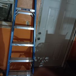 Werner 6ft Fiber Glass Ladder 