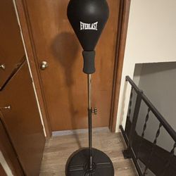 Everlast Boxing Bag/ Reflex Bag And Boxing Gloves