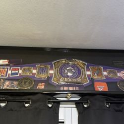 WWE John Cena Phoenix Edition Title Belt