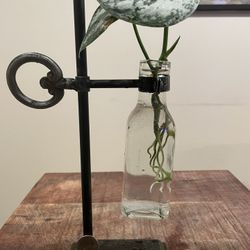 Plant home decor (propagation vase) 