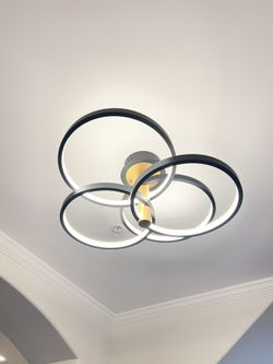 Entry Way Light Fixture