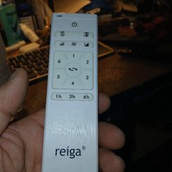 Reiga Fan Remote