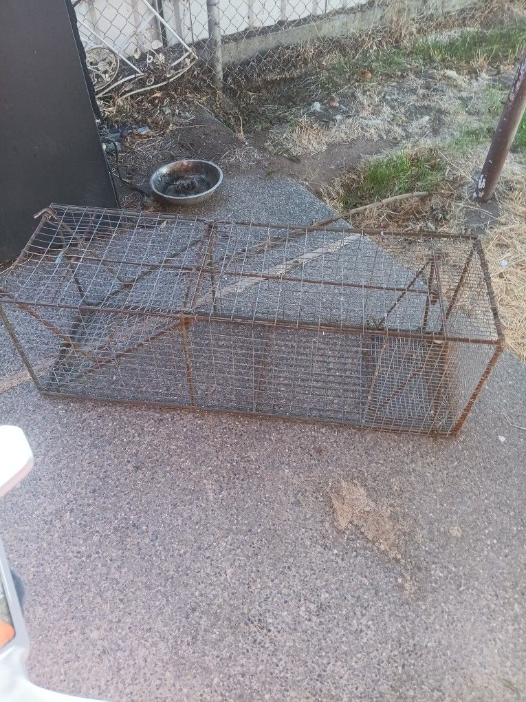 LARGE TRAP