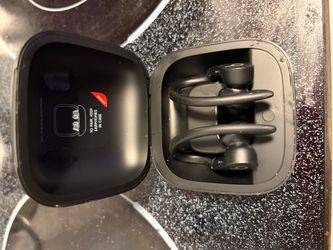 Beats Powerbeats Pro Wireless Earbuds with Case
