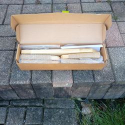 Cat Climbing Stairway