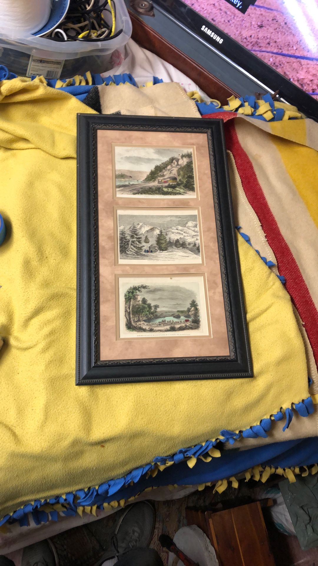 Antique American Prints 1855 USA