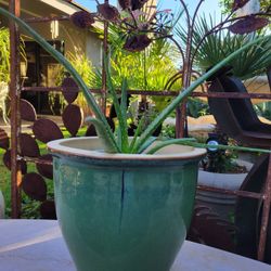 Glazed Iridescent Green Pot