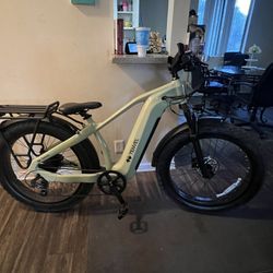 Tenvel E-bike 