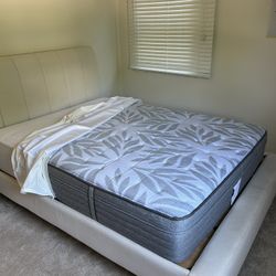 Queen Bed & Mattress 