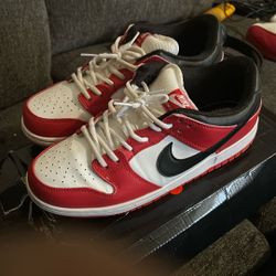 Chicago SB Dunk