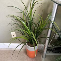 Fake Plant 