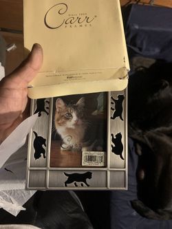 Cat Picture Frame 