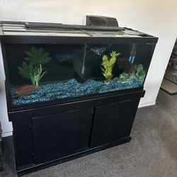 Fish Tank And Stand