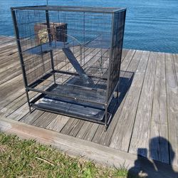 Bird cage