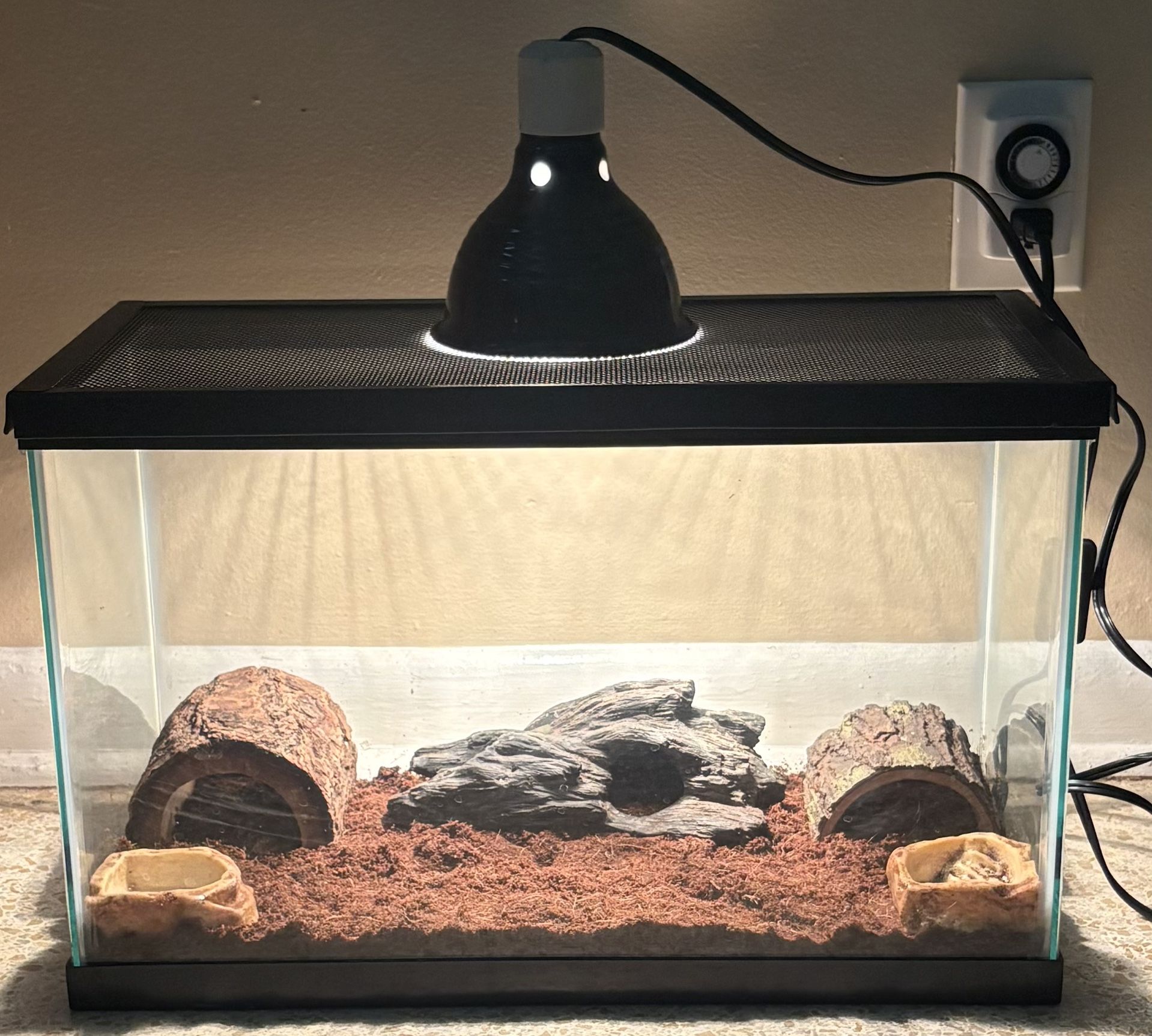 10 Gallon Reptile Tank