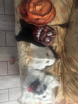 Halloween masks