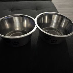 Pet Bowl 