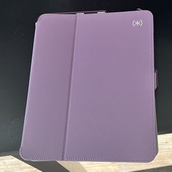 iPad Case 