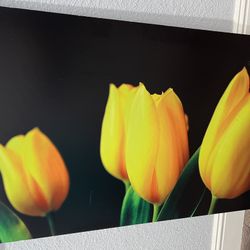 Beautiful 3-foot Foam-Mounted Tulip Flower Art Picture
