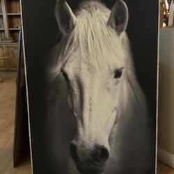 Horse Paintings
