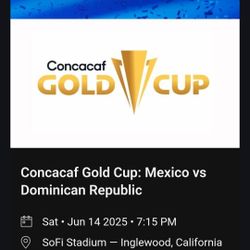 Ticket For The Game Today $130 