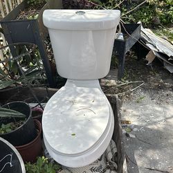 Toilet bowl