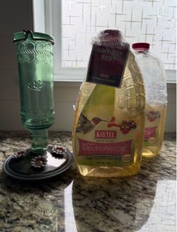 Kaytee ElectroNectar and Glass Hummingbird Feeder