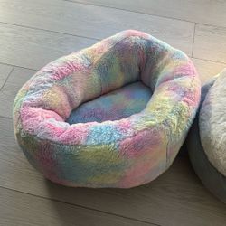 Dogs Bed