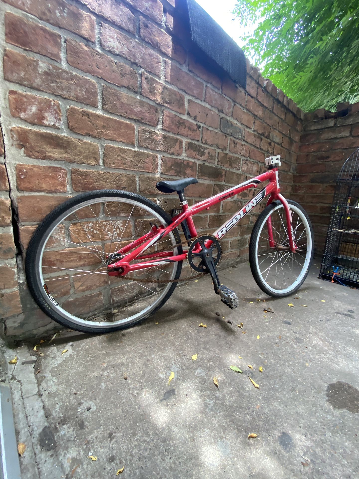 Red Line Kids Bike
