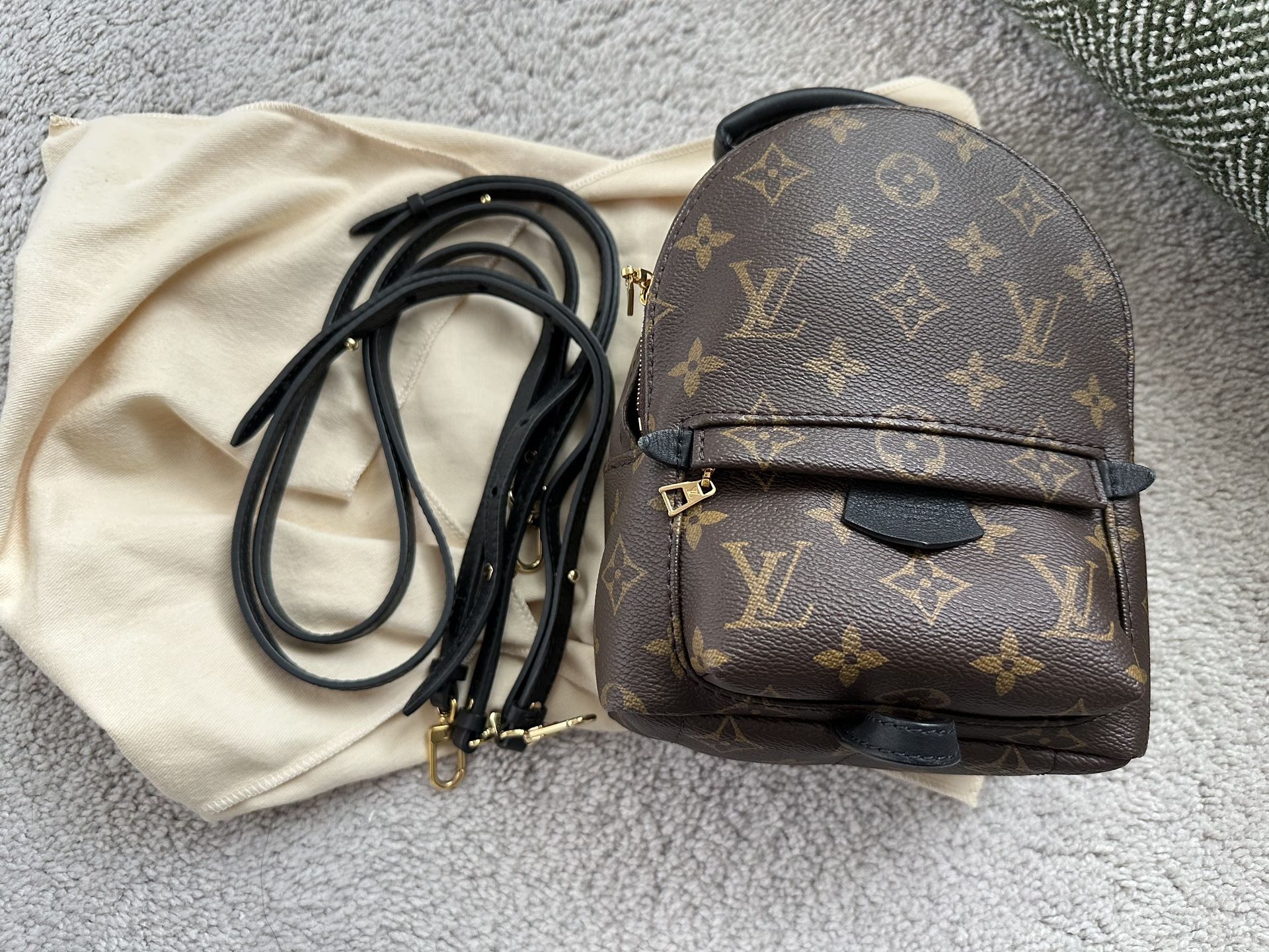 Louis Vuitton Palm Springs Mini