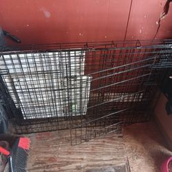 Xxxx Large Dog Crate Pick Up Today