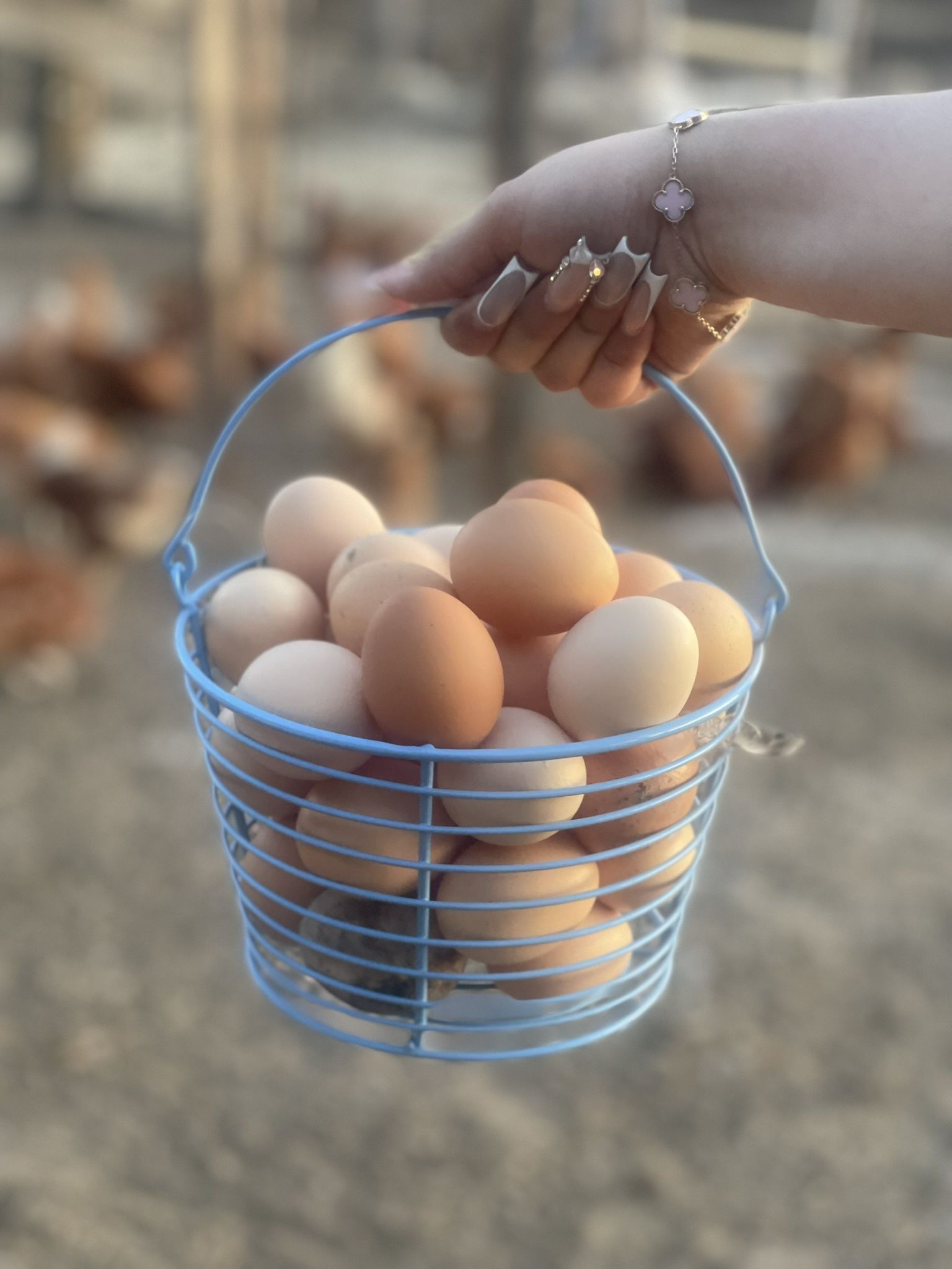 Farm Fresh Eggs