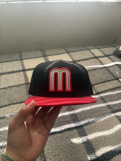 Mexico Jay SnapBack 