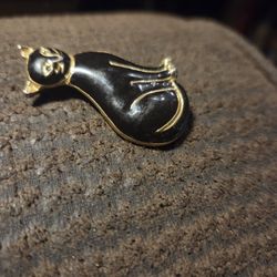 A pin cat, i'm in real good condition