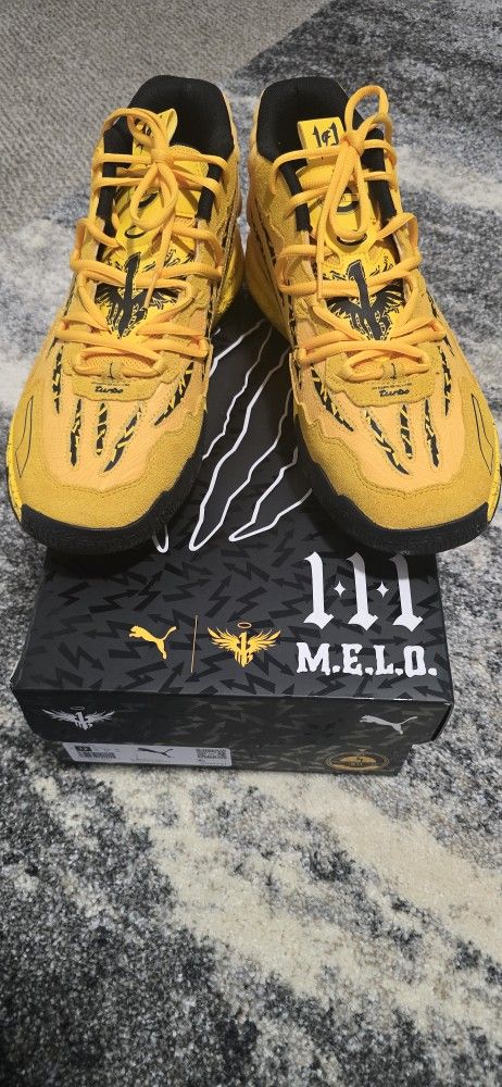 Basketball Shoes