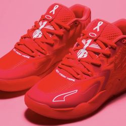 MB.01 Breast Cancer Awareness 11.5 Never Worn In-Box